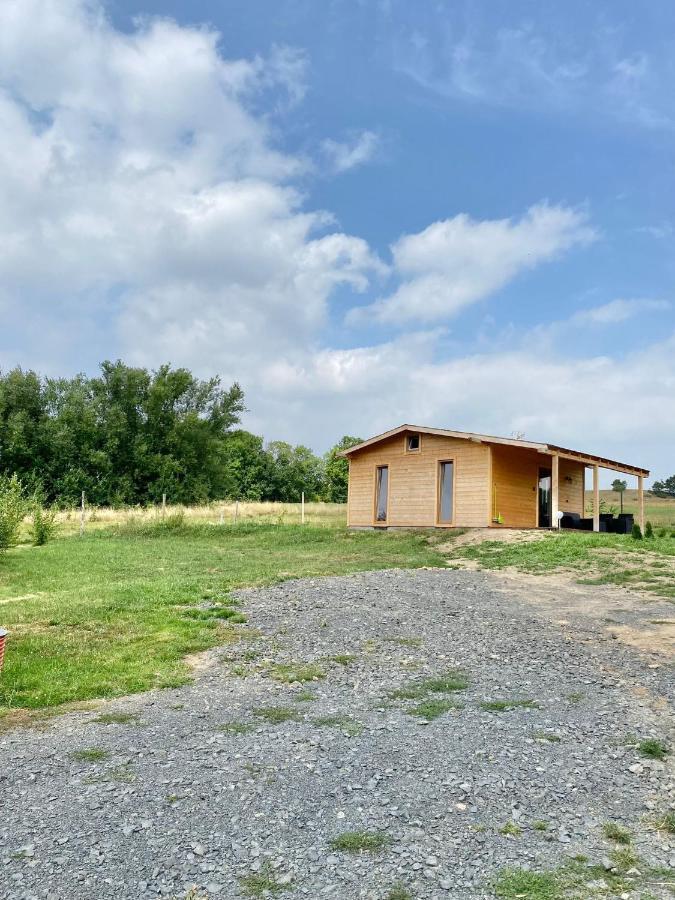 Domek W Gorach Izerskich 4 I 6 Osobowy, Agroturystyka, Zywe Zwierzeta, W Pelni Wyposazone, Plac Zabaw Dla Dzieci, Ognisko Z Kijkami I Rusztem, Ogrzewanie I Klimatyzacja, Latem Basen Mirsk Exterior foto